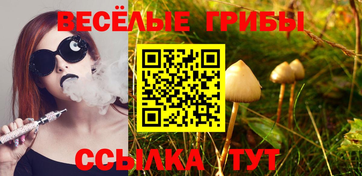 Галлюциногенные грибы мицелий Усть-Илимск